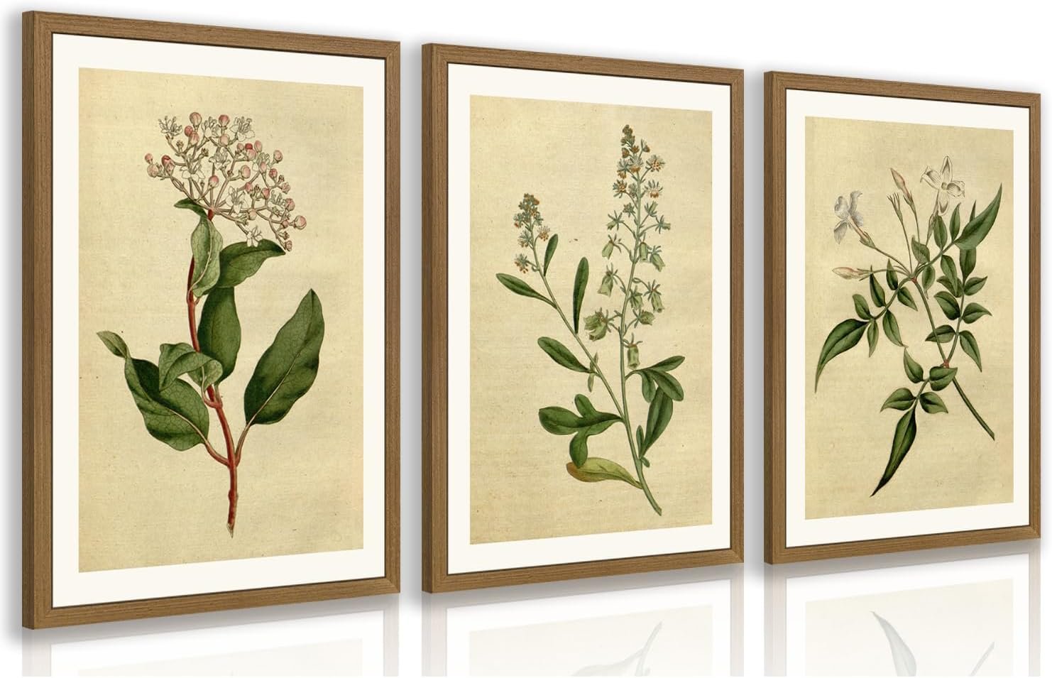 RLKHG Wood Framed Vintage Botanical Wall Art Set of 3, Classic Herbarium Plant Prints, Green Botanical Illustration Wall Decor, Farmhouse Cottagecore Floral Artwork for Office Bedroom 12×16 Inch