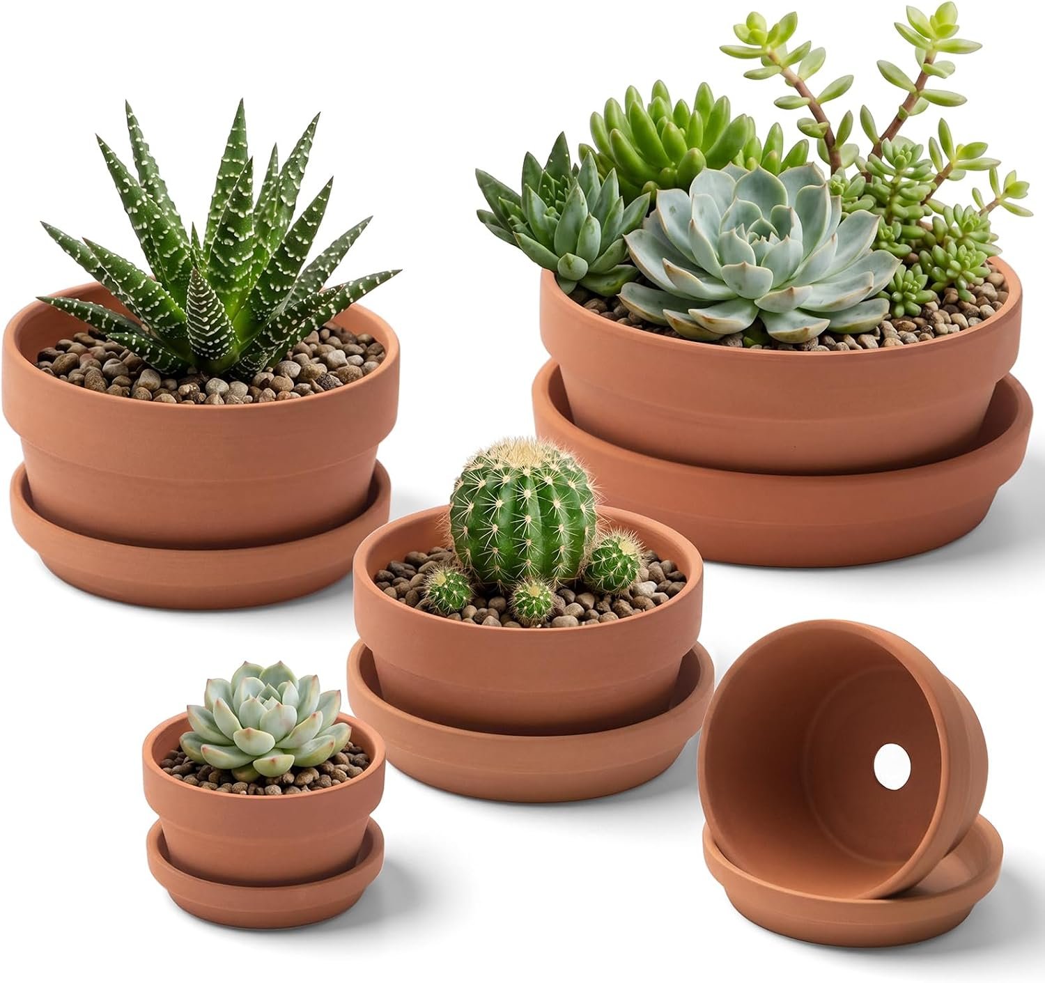 Maxdot 5 Pack 3.5/4.3/5.5/6.7/8.3” Shallow Terracotta Pots Set