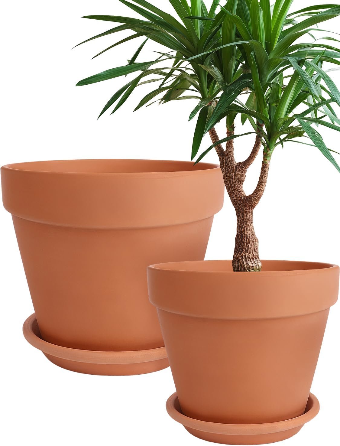 INGOFIN Terracotta Pot with Saucer 10&12 Inch – Ceramic Clay Pot for Plants with Drainage Hole, Large Terra Cotta Flower Planter with Tray for Indoor Outdoor Plants