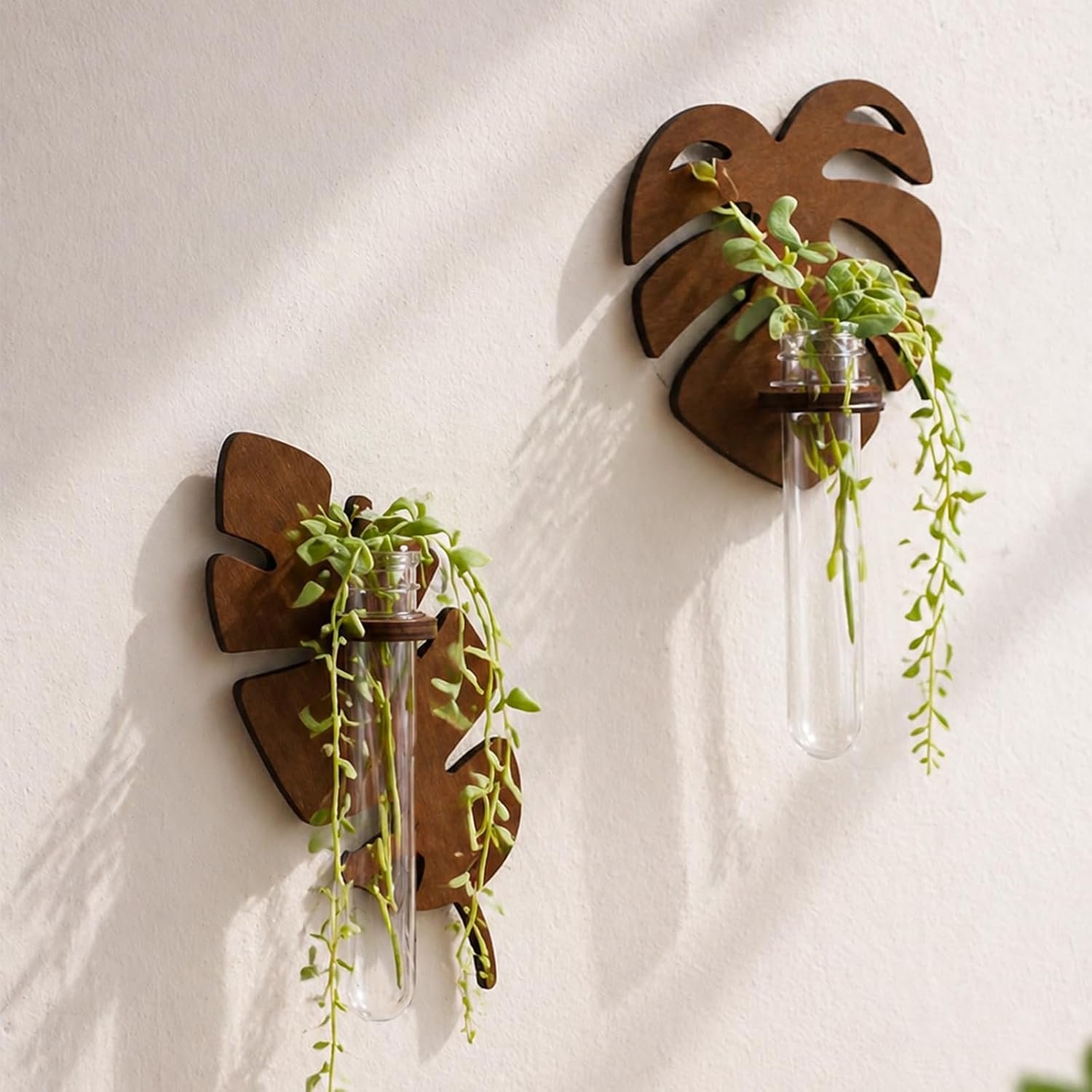 Artilady Plant Propagation Station Wall Hanging, Planter Terrariums Tube