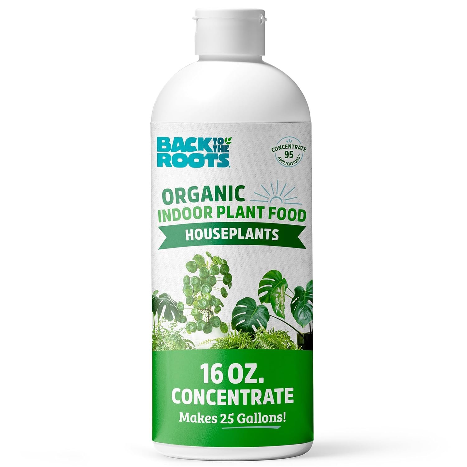 Back to the Roots Natural & Organic Indoor Plant Food (16oz Value Size – 95 Feeds!), Great for Houseplants, Low Odor, Vegan, Easy to Apply Liquid Formula