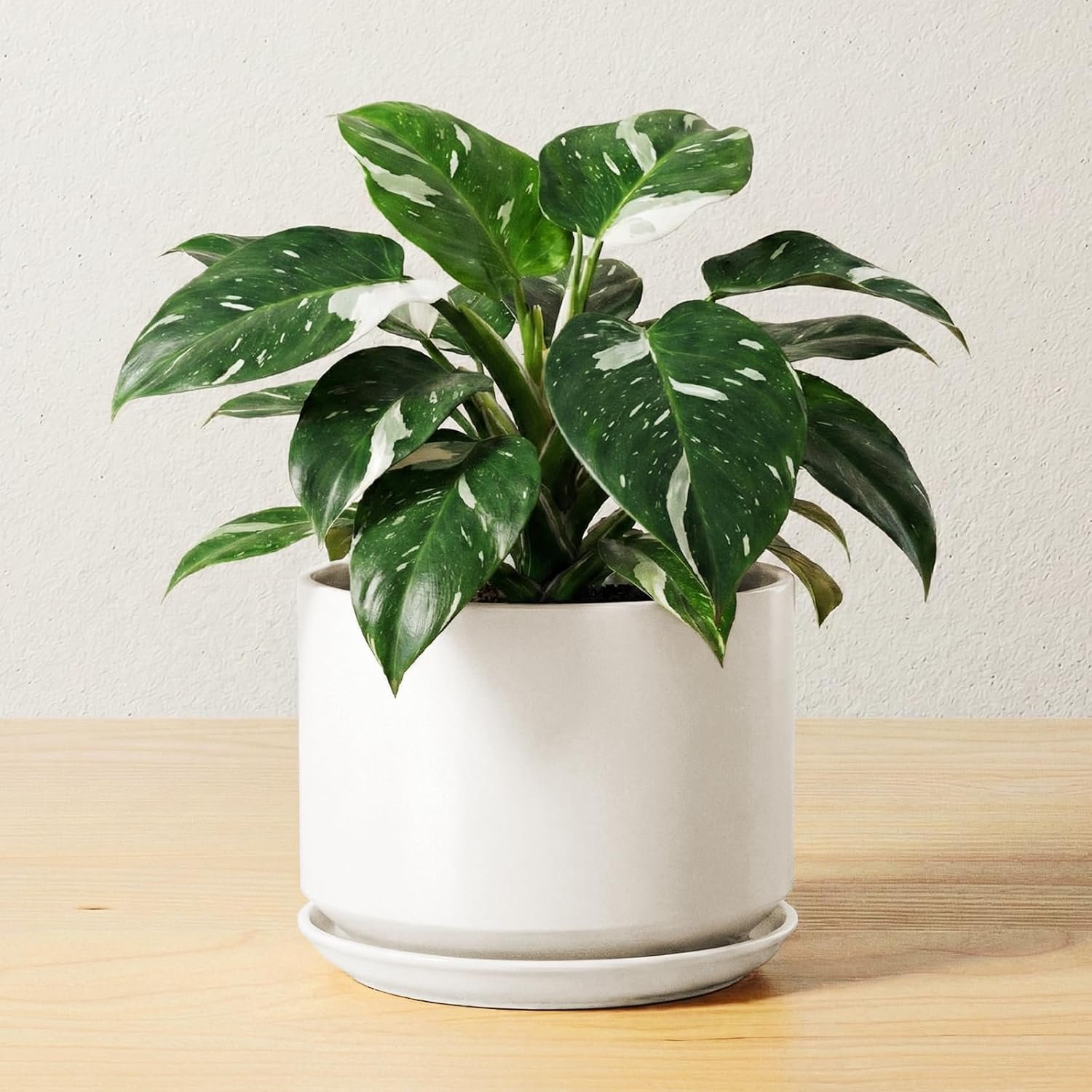 LE TAUCI 6.8 Inch Ceramic Pots for Plants, Indoor Plant Pot, White