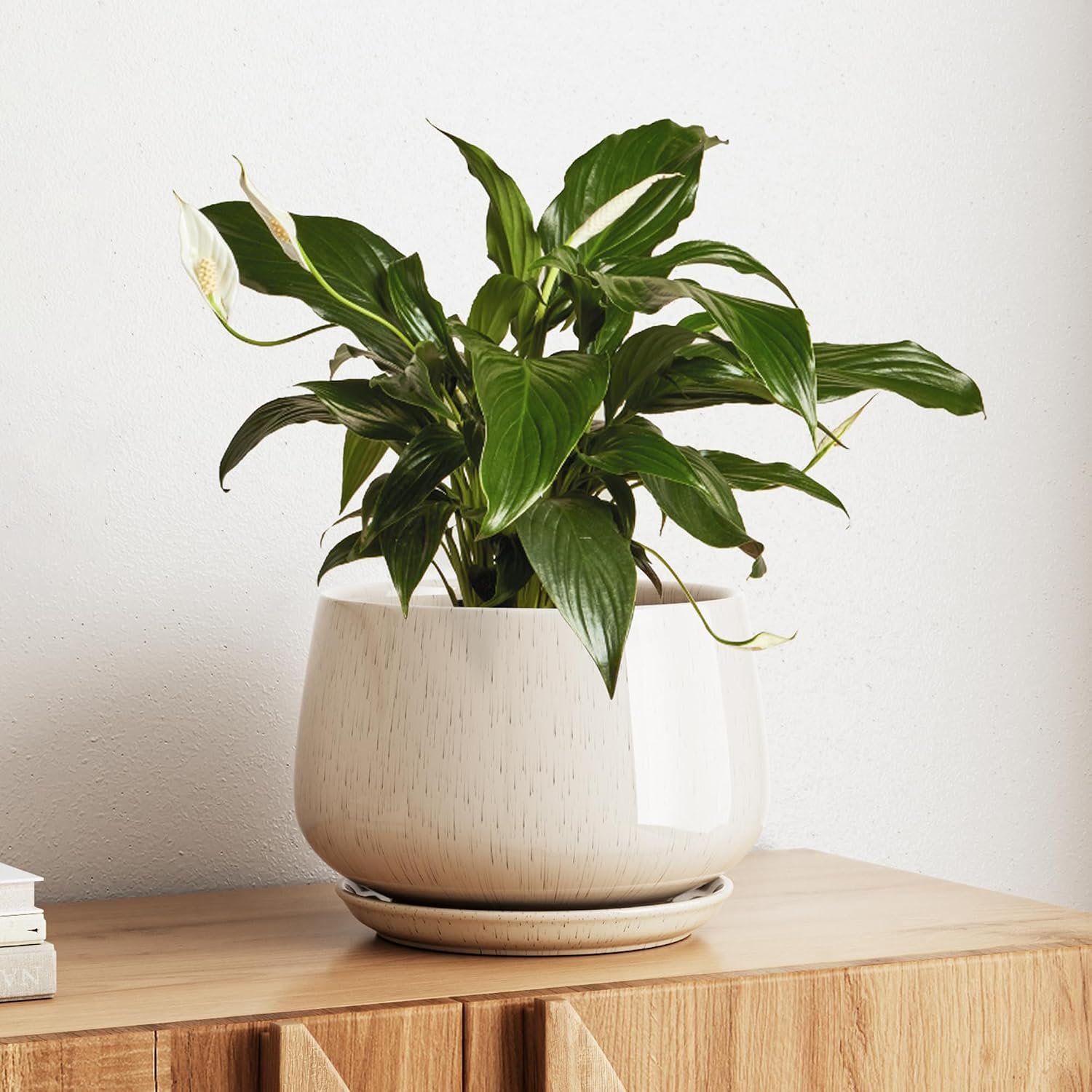 LE TAUCI Ceramic Planter, 10 Inch, Large Plant Pot, Reactive Glaze Beige