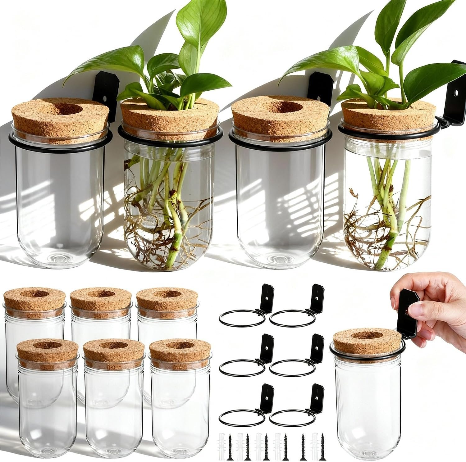 Baderke 6 Set Wall Plant Holder with Plastic Propagation Vases Hanging Planter Wall Mounted Set for Plants Growing in Water Hydroponic Artificial Plants Indoor Decor (2.48″ X 4.72″,Test Tube)