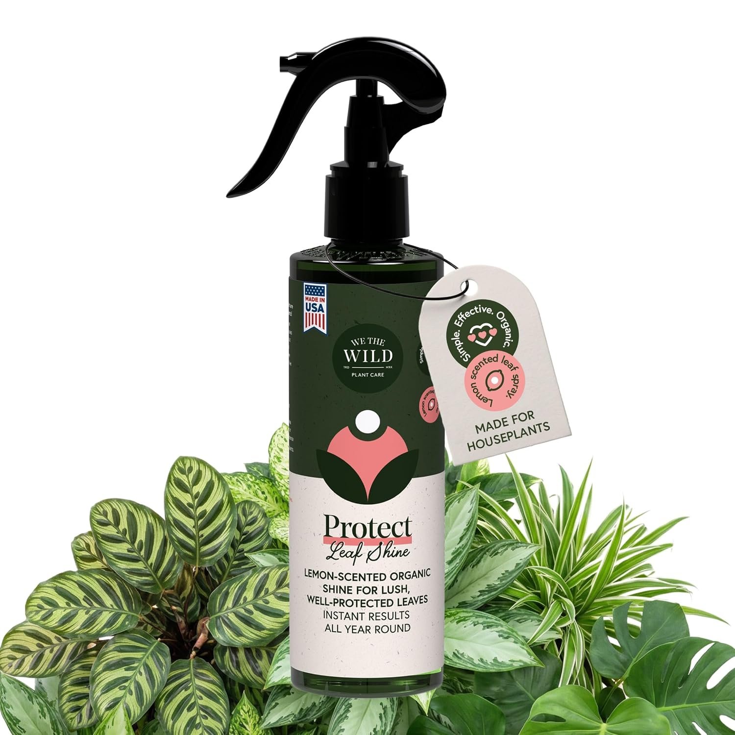 WE THE WILD Organic Protect Leaf Shine | Neem Oil Spray | 16.9 fl oz