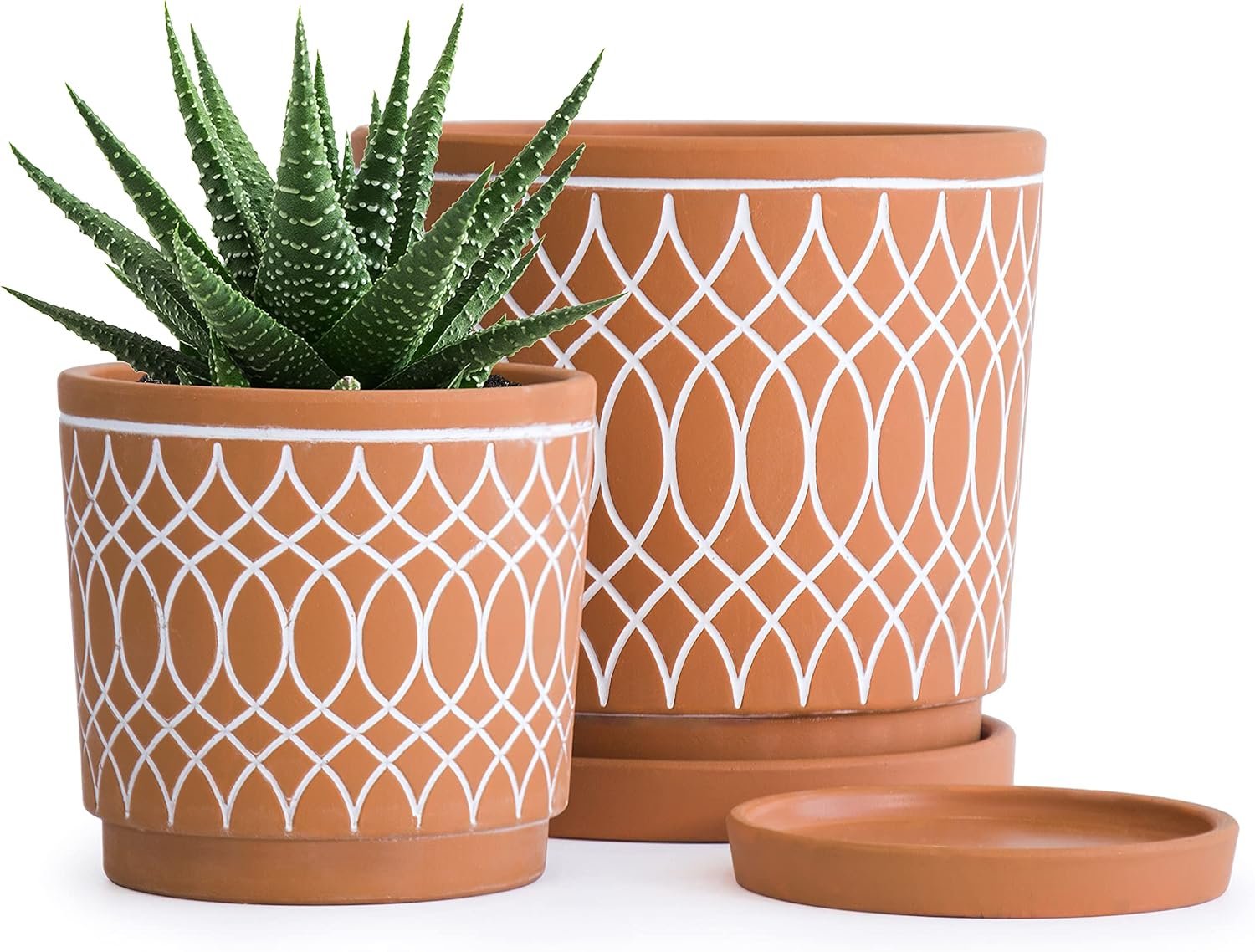 D’vine Dev 2-Pack Terracotta Pots with Saucers, 4/6 in, 31-958-C-1