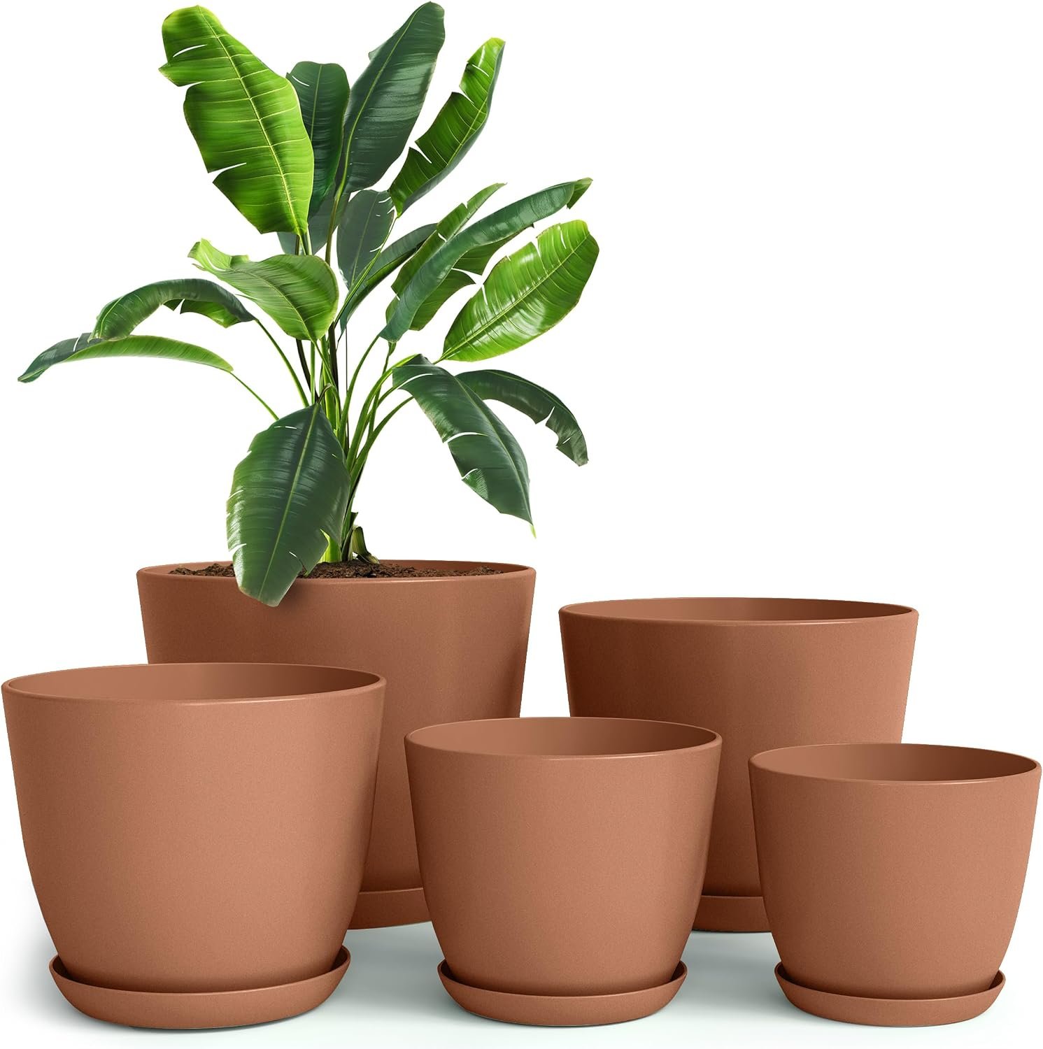 Plant Pots Indoor with Drainage, 5 Pack Multi-Size Planters Set, Terracotta