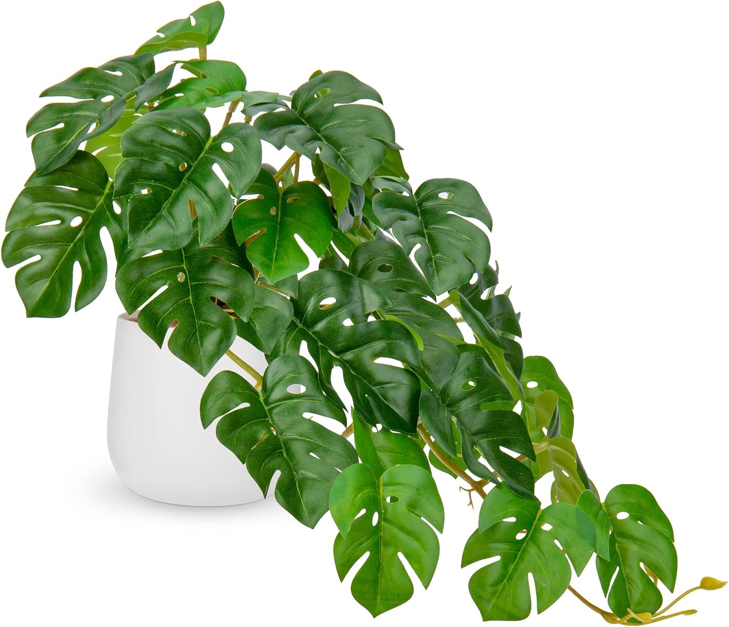 DILATATA Fake Plants Indoor 8 Inch Artificial Monstera Plant in White Ceramic Pot – Faux Potted Tropical Palm Plant for Home Aesthetic Decor Living Room Shelf Office