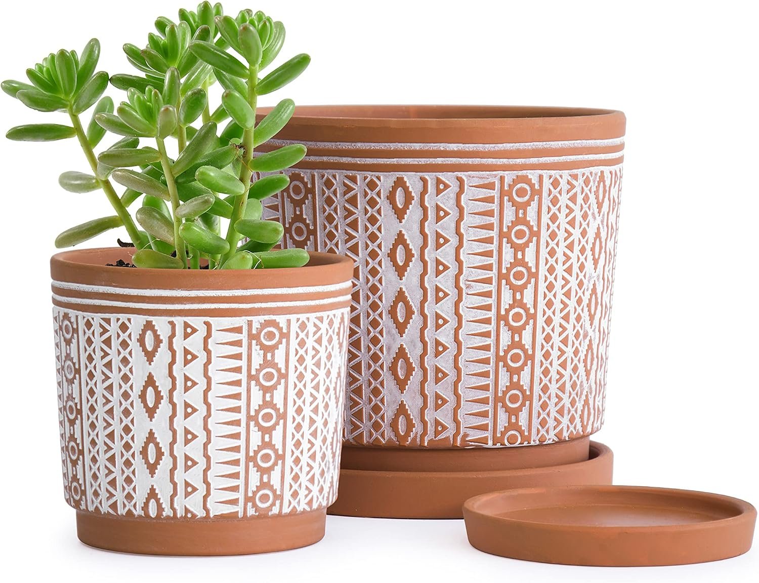 D’vine Dev Set of 2 Terracotta Pots, 4 Inch & 6 Inch, Planter Pots for Plants with Drainage Holes and Saucers, Terracotta/White, Small, 31-958-A-1