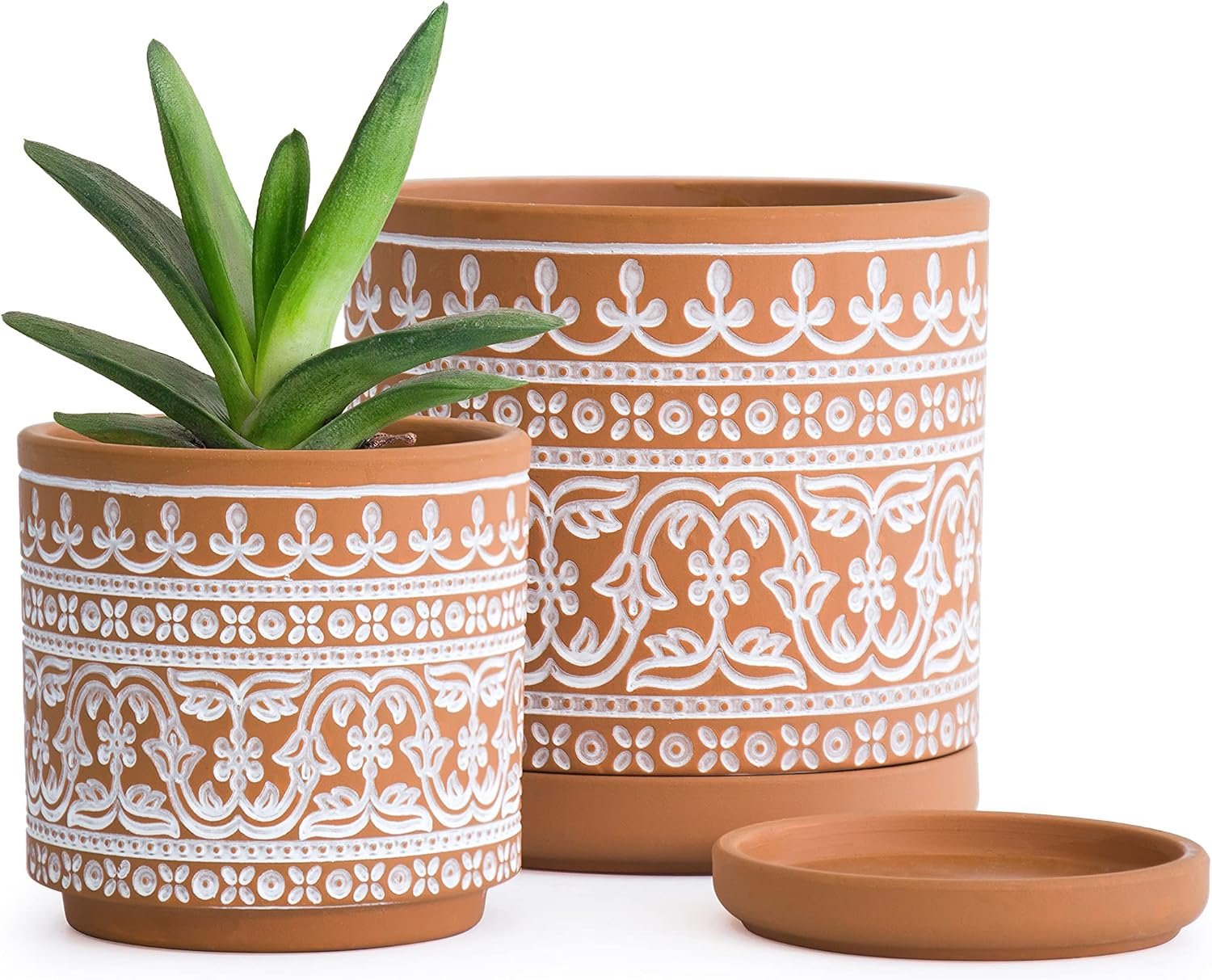D’vine Dev 2-Pack Terracotta Pots, 4/6 in, Terra/White, 31-958-F-1