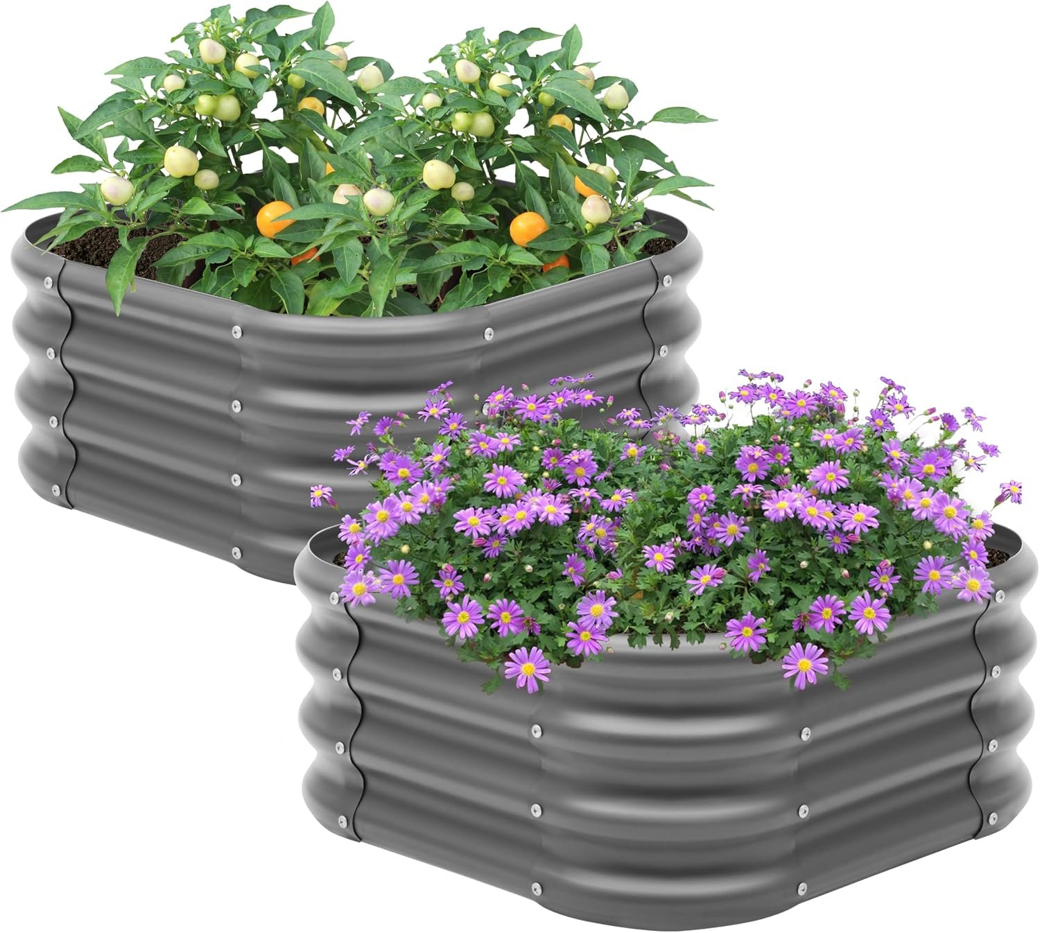 Besebay 2-Pack 2x1ft Galvanized Raised Garden Bed, Outdoor Planter Bed,
