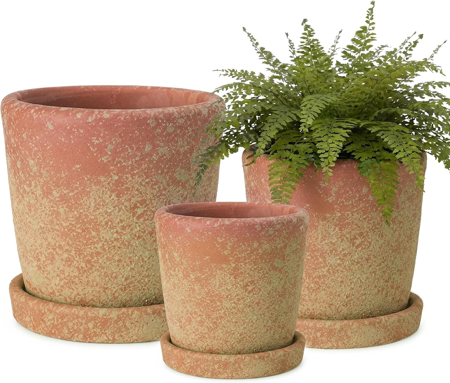 Yungyan Set of 3 Rustic Terracotta Planter Pot and Saucer 5/6/7 Inch
