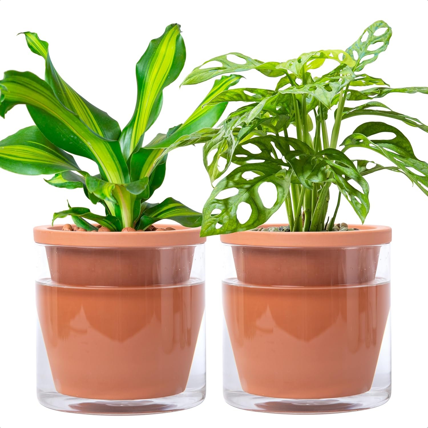 D’vine Dev Self Watering Terracotta Planter Pot, 6 in, 2-Pack, 37-Y-B-1