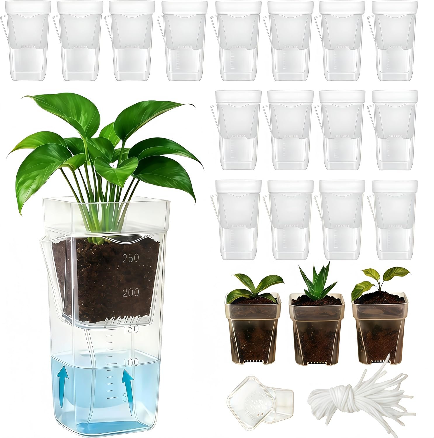 16 Pack 2.5″ Medium Self Watering Pots for Indoor Plants, Small Clear Plastic Planters,Self Watering Planters Garden Flower Pots for African Violet, Hoya, Seedlings, Cuttings &Semi-Hydro
