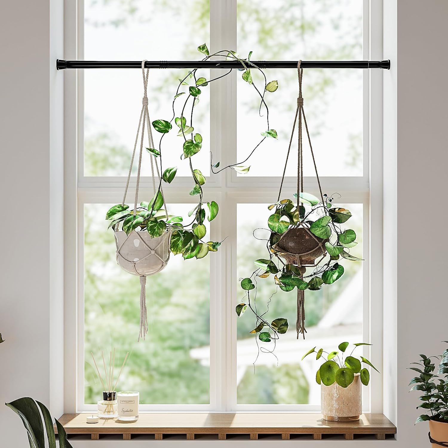 Bamworld Window Plant Hanger Indoor Adjustable Hanging Planters
