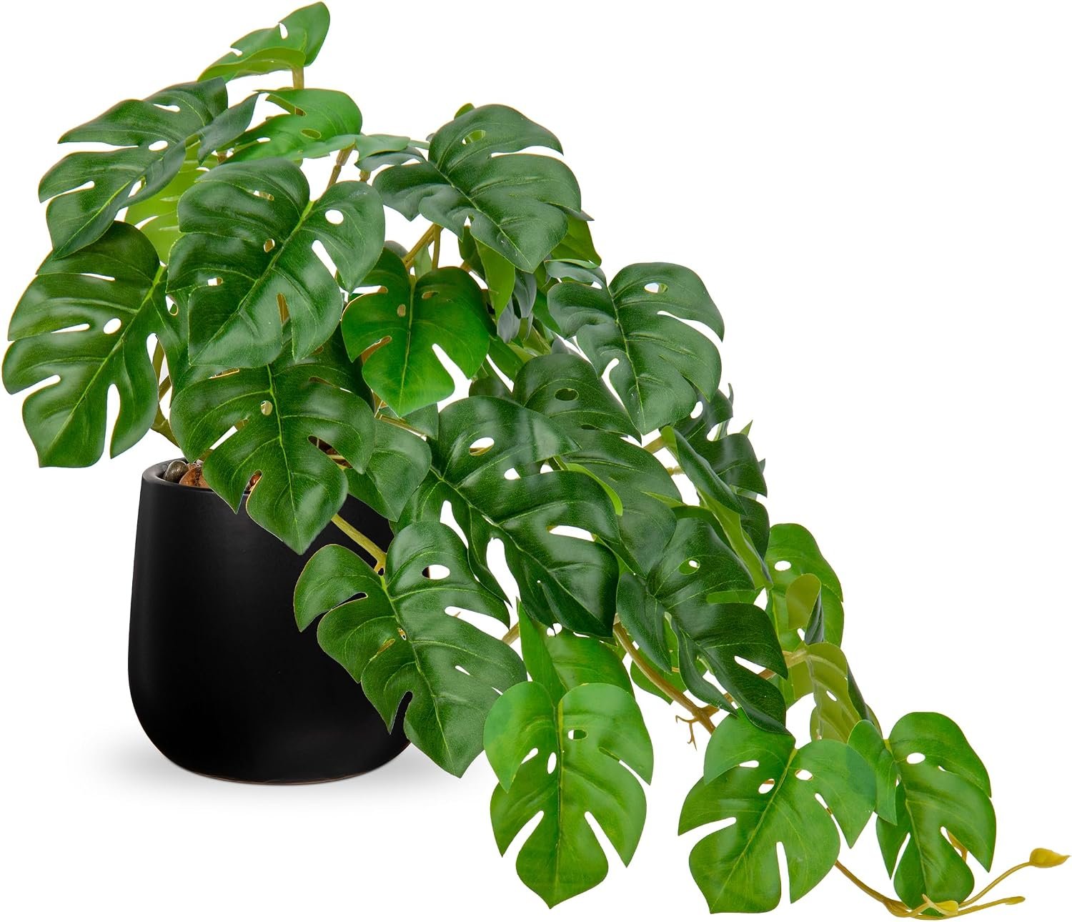 DILATATA Fake Plants Indoor 8 Inch Artificial Monstera Plant in Black Ceramic Pot – Faux Potted Tropical Palm Plant for Home Aesthetic Decor Living Room Shelf Office