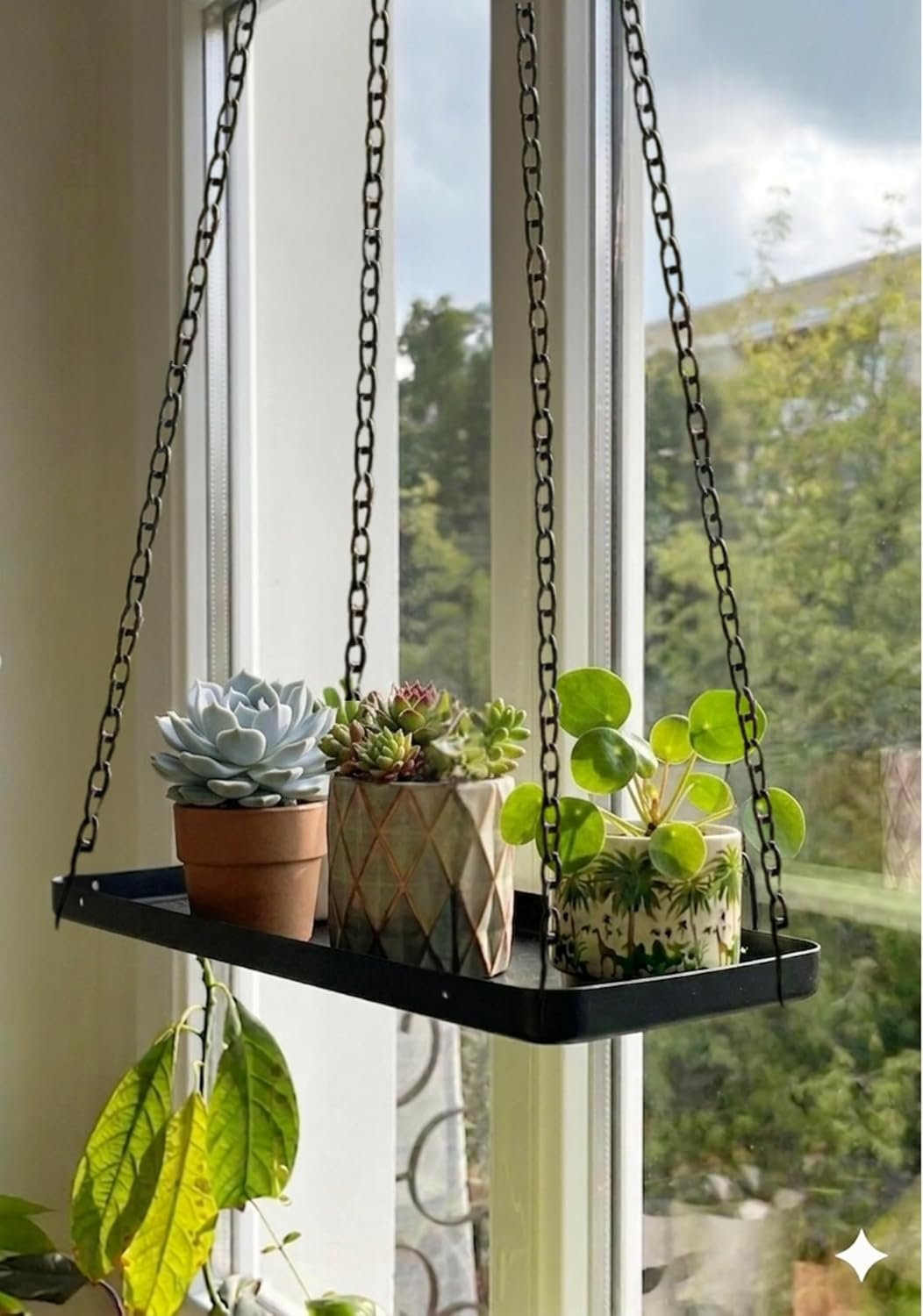 Hanging Plant Shelf (15.5″ x 6.5″), Hanging Plant Holder