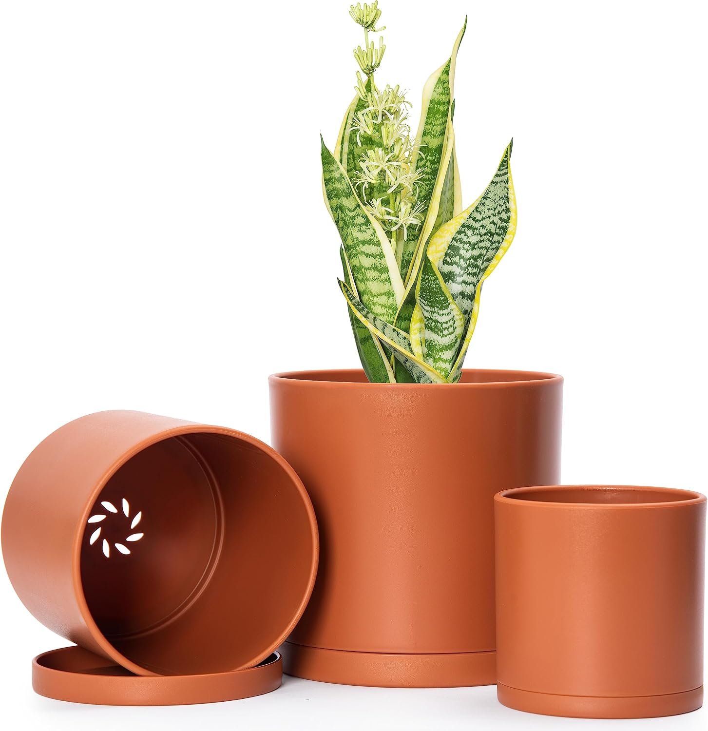 D’vine Dev 3-Pack Plastic Pots & Saucers, 4/5/6 in, Terracotta, 74-V-C-1