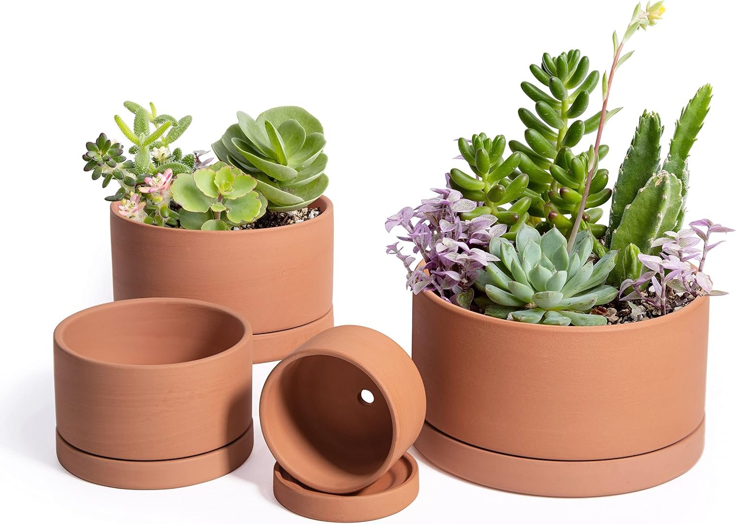D’vine Dev Set of 4 Terracotta Shallow Planter Pots for Succulent, 3 Inch 4 Inch 5 Inch 6 Inch, Small Flower Plant Pots with Drainage and Saucer, 40-Z-0