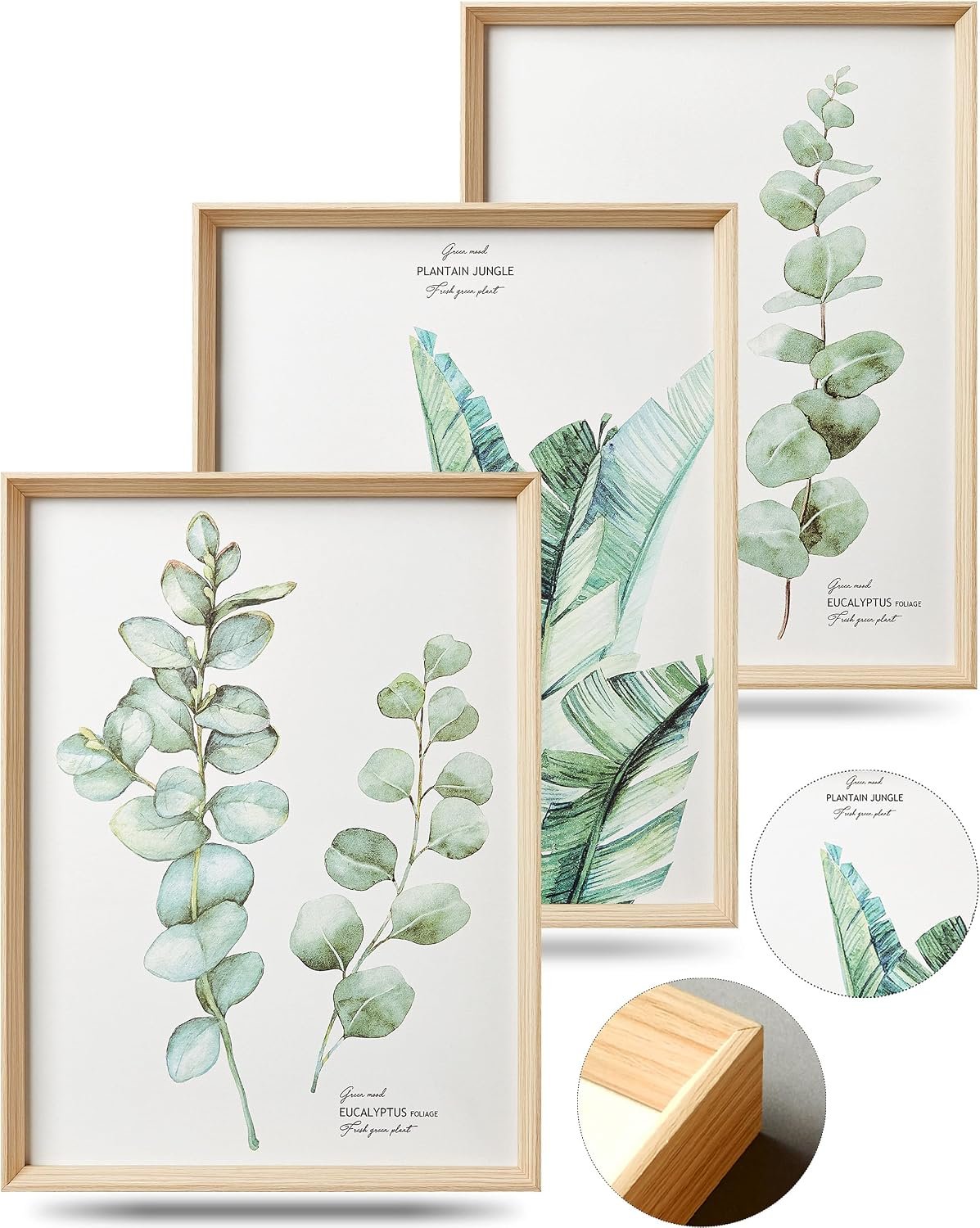 12x16IN Green Plant Eucalyptus Leaf Framed Wall Art, Set of 3