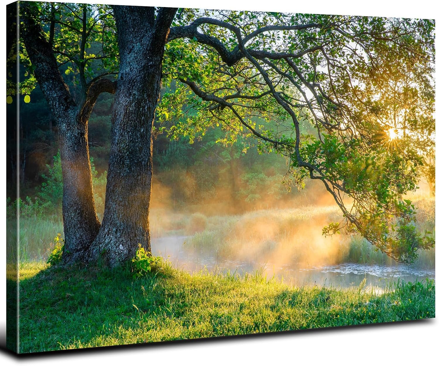 Green Oak Tree Wall Art Vintage Sunset Nature Forest Picture Wall Decor for Living Room Sunrise Mountain Landscape Canvas Prints Sunlight Woodland Painting Artwork Bedroom Bathroom Decoration 12×16”