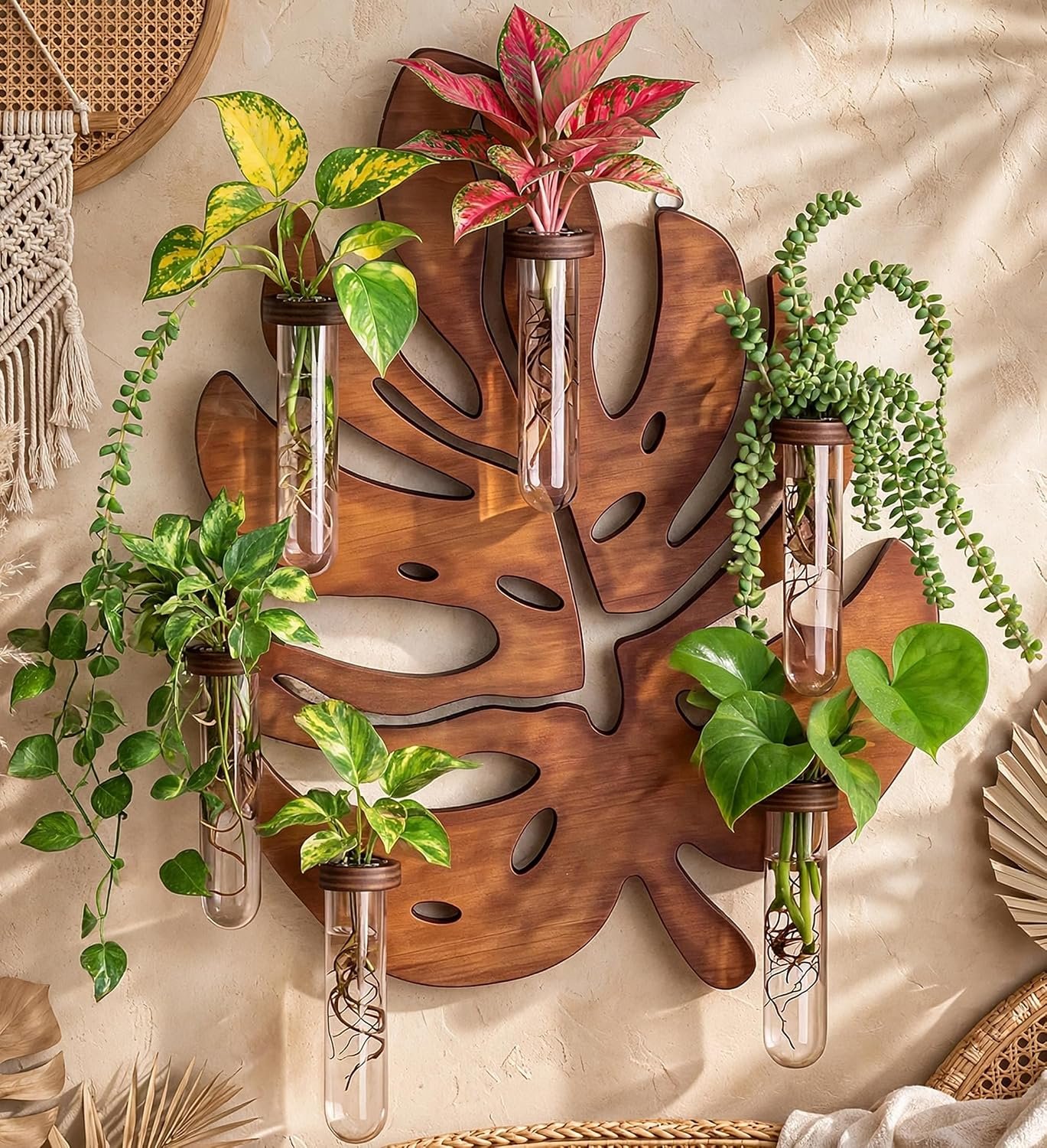 Plant Propagation Station, Monstera Hanging Wall Planter with 6 Glass Tubes
